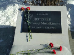 Цветы на снегу: в Камышине почтили память воинов- «афганцев»