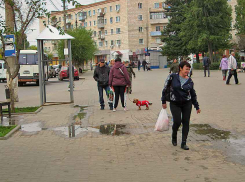 Вот жизнь: купила себе на распродаже куртку, которая стоит дешевле, чем наряд для собаки, - камышанка