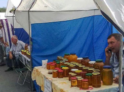Администрация Камышина решила «ударить» по сезонным хворям медовой ярмаркой