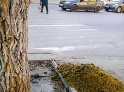 В Камышине на центральных улицах насыпали кучки песка на случай гололеда