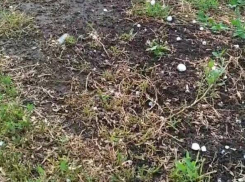 В хуторе в Волгоградской области в 36-градусную жару выпал град