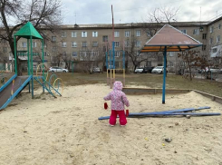 «Дети приходят и плачут оттого, что на игровой площадке все сломано», - камышанка