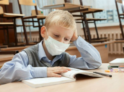 Пять школ в Камышине продолжают «грипповать»