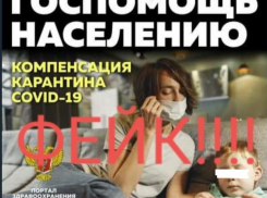 Жителям Волгоградской области рассылают фейковые сообщения о выплатах за карантин, - «Блокнот Волгограда»