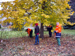 Почему у нас как только собирают молодежь на субботники, так обязательно «гонят» ее к администрации?