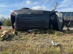 На трассе между Волгоградом и Камышином в столкновении внедорожников и фургона пострадали четверо взрослых и двое детей