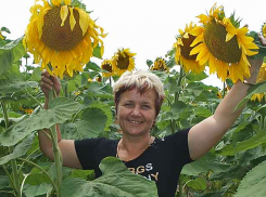 Что известно о «семенном» инвестпроекте, площадка для которого появится в Камышинском районе