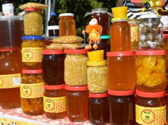 Администрация Камышина продолжает кормить горожан медом