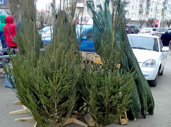 Морозы немного ослабеют в Камышине, появится больше облаков