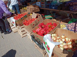 Известный волгоградский фермер прокомментировал заявление генсека ООН о дефиците еды в 2023 году 