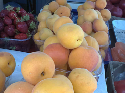 На прилавки камышинских рынков выложили еще один дорогой десерт нового урожая