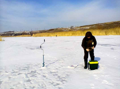 Камышан проинформировали об уровне радиационного фона 