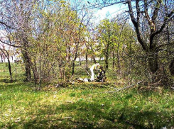 Коронавирус «взметнулся» в Волгоградской области: плюс 42 случая заражения за сутки