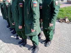 В Камышине с завтрашнего дня, 1, апреля начнется очередной призыв в армию