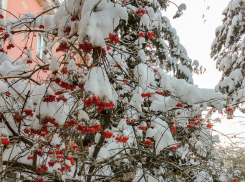 Девять многоквартирных домов отключают энергетики от электричества сегодня, 3 февраля, в Камышине