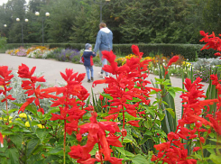 В Камышине в минувшем году 9 несовершеннолетних школьниц и учащихся колледжей стали мамами