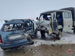 Женщина и мужчина скончались в результате кошмарной аварии в Волгоградской области