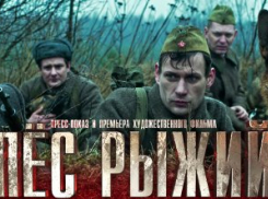 В Камышине в рамках V Международного Кинофорума «Сталинградская сирень» премьера фильма