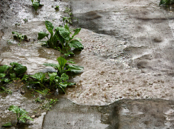 Почему в Волгоградской области объявили «оранжевый» уровень опасности