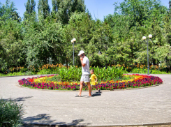 Камышан зовут на мультик, в котором царевич вместо того, чтобы победить дракона, зачем-то с ним подружился 