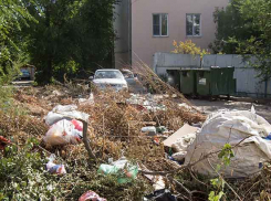 Новый «мусорный» регоператор вышел на прямую связь с камышанами