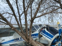 МАК назвал причину падения АН-2 под Камышином минувшей весной