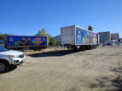 В Камышине в бухте появился «бродячий цирк», по центральным улицам «поехала» реклама, но есть нюанс