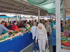 В камышинских поликлиниках горожанам предлагают привиться супервакциной от гриппа