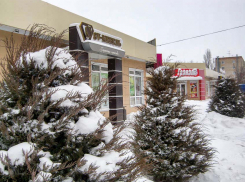 В Камышине сегодня, 12 января, ожидается лютый мороз