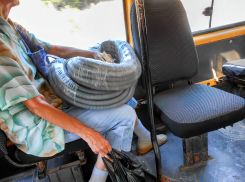 Эффективность губернатора Бочарова оценят в Волгоградской области, - «Блокнот Волгограда»