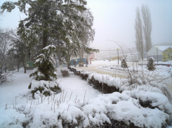 Крепкие морозы «сообщили», что они никуда не ушли из Камышина: погодная повестка на 10 февраля