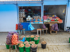 «Дачную» погоду обещают синоптики камышанам в конце недели