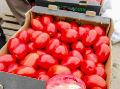 В Камышине помидоры подорожали до 200 рублей за килограмм