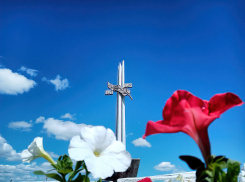 В Камышине памятный знак защитникам города в «мгновение ока» украсили цветники