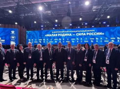 Цвет волгоградской политики отправили в Москву, взяли ли в делегацию чиновников из Камышина - неизвестно