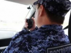 Росгвардейцы задержали наглеца, палившего по пешеходам из странного оружия