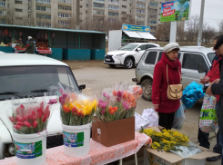 В Камышине цветочные ряды готовятся к «вечерней смене» перед 8 Марта