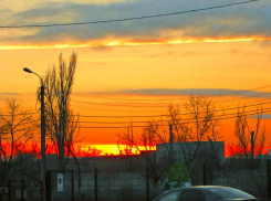 Рекордсменом среди регионов стала Волгоградская область по числу сбитых за ночь БПЛА