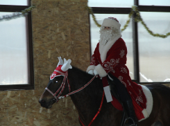 В комплексе «Ратник», который патронирует камышинская полиция, Дед Мороз и Снегурочка выехали к ребятам... на лошадях!