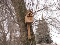 Нерабочий понедельник будет в Камышине теплым и солнечным