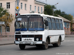 В Камышине началась операция «Автобус»