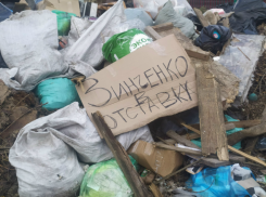 В Камышине властям нельзя допускать, чтобы мусорки становились политическим инструментом, - камышанин
