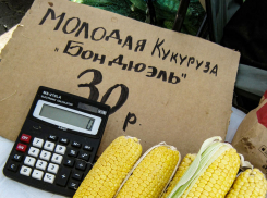 «Французская» кукуруза с неизвестной географией произрастания подешевела в Камышине