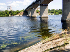 К 40-градусной отметке подбираются столбики термометров в Камышине 28 июля