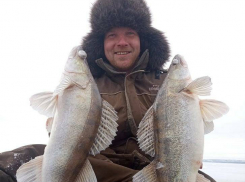 На новостные ленты волгоградских СМИ попал счастливый камышанин, вытащивший из лунки двух огромных судаков