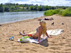 Вероятность прихода пыльной бури в Волгоград и Волгоградскую область в ближайшее время оценил климатолог