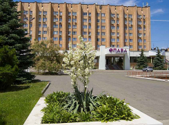 Какие цветы готовят к высадке на весну в Камышине озеленители «Благоустройства»