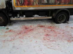 Стали известны подробности кровавой драмы в Николаевске, у соседей камышан по берегам Волги