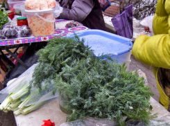 В Камышине зеленый лук с укропом пошли на ценовой рекорд перед Новым годом 