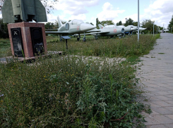 Не пора ли провести покос в парке Победы рядом с администрацией в Камышине? - камышанка
